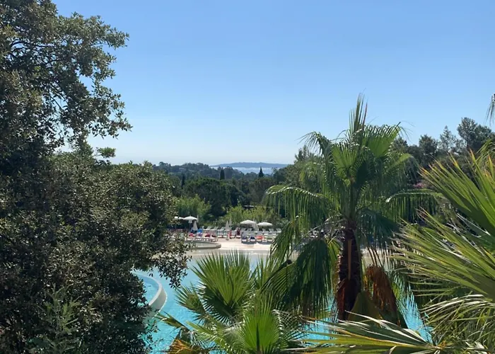 Daire Region De St-tropez Grimaud